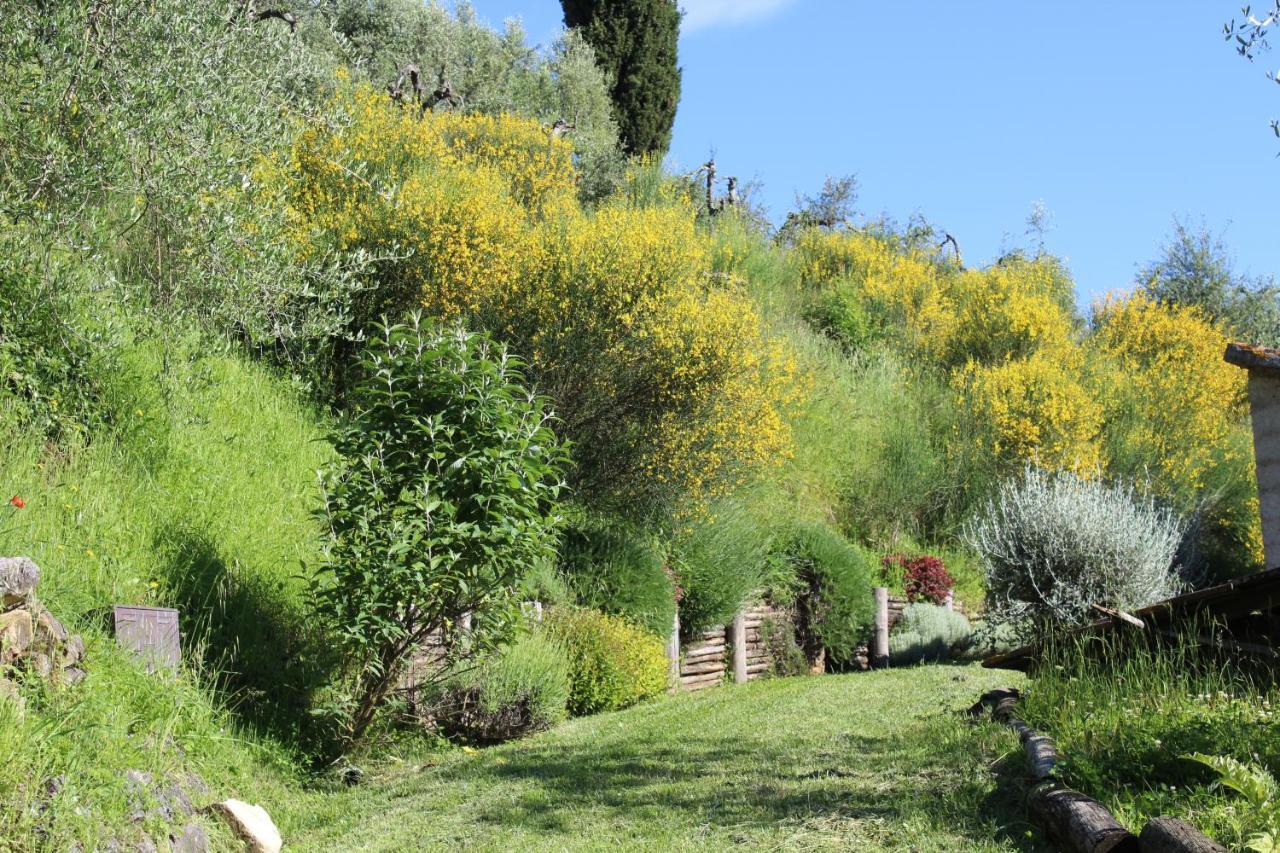 Villa Porsenna Chiusi Exterior foto